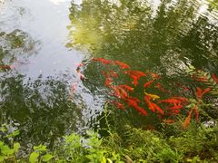 -五泄景区
