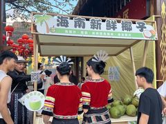 -三亚红色娘子军演艺公园景区