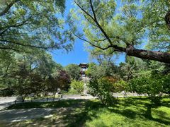 -莲花池公园
