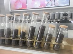 -雾与山茶(大禹城店)