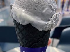 -蔻蔻椰·鲜萃椰子水(COCO Park店)