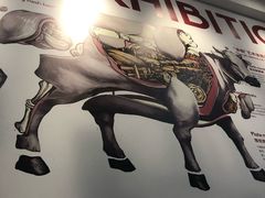 -为什么牛潮汕牛肉火锅(万胜广场店)