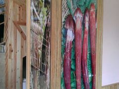 菌类。。。-东巴谷野生菌火锅餐厅