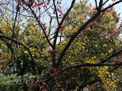 -杭州半山国家森林公园