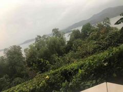 -天目湖涵田半山温泉