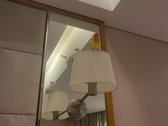 -苏州香山国际大酒店