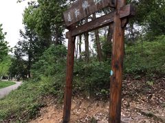 -龙寺生态园