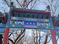 -北京国子监胡同