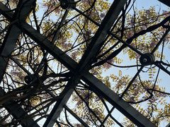 -海之蓝宾馆(苏州拙政园店)