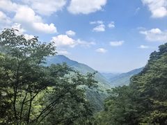 -龙翔山庄雷鸡肉(青城后山泰安古镇店)