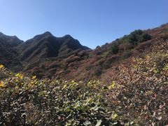 -水峪民俗村