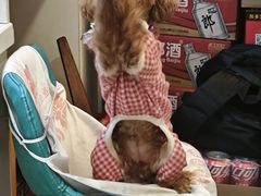 -虾大侠·盱眙龙虾老北京铜锅涮羊肉(金楠天街店)