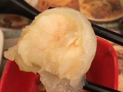 虾饺-添好运点心专门店(深水埗店)