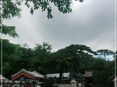 -阳台山自然风景区
