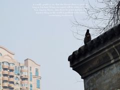 -团结湖公园