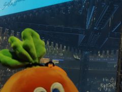 -梦之蓝青奥体育公园体育馆