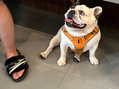 -Again Coffee Roaster(香蜜湖店)