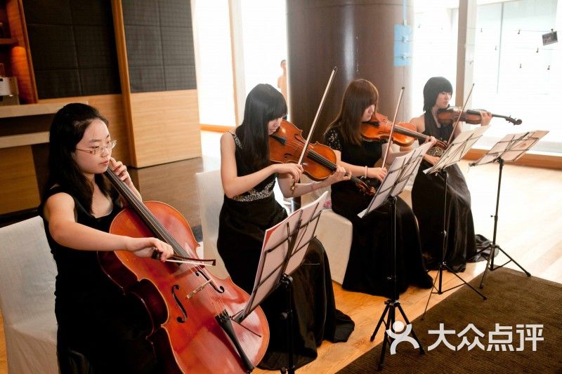 小提琴演出 乐队迎宾演奏图片 - 第3张
