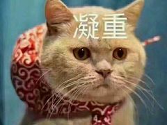 -UME影城(西城广场店)