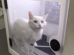 -艾贝尔宠物医院 ·中兽医·宠保定点(北门桥店)