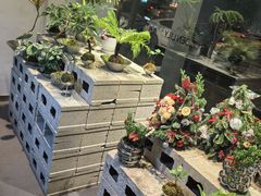 -靳晖金百合花艺GOLDENLILY(南院门店)