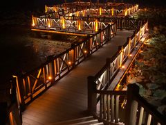 -上海市保健医疗中心