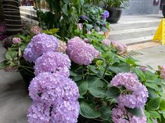 -生宇山珍野生菌汤锅•始于1999(双流古塔店)