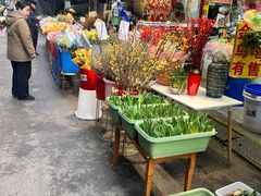 -循礼门鲜花花市(武汉循礼门店)