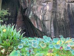 -广州莲花山旅游区