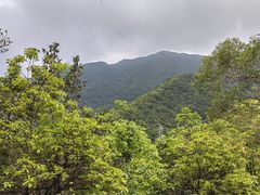 -梧桐山风景名胜区