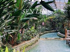 -南宫五洲植物乐园