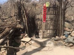 -大岭沟猕猴桃谷风景区
