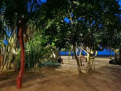 -Green Lobster Waskaduwa Seafood Restaurant
