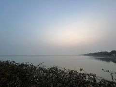 -贡湖湾湿地公园