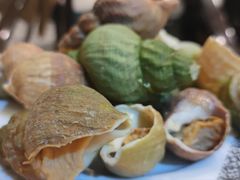 海螺-西藏饭店·亚克·食光自助餐厅(文殊院店)