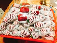 -菜园坝水果市场
