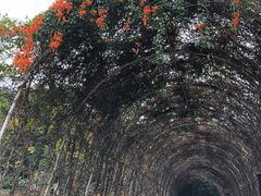 -天河儿童公园