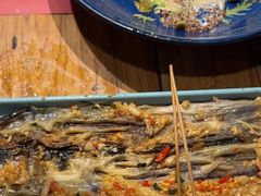 -馋嘴猫北京食堂·烤鸭·宵夜(亚运村店)