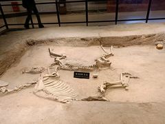 -洛阳周王城天子驾六博物馆