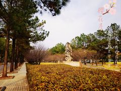 -同济大学(嘉定校区)