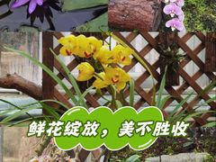 -国家植物园南园