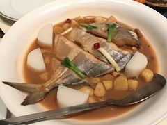 鲳鱼烧年糕-新荣记(新源南路店)