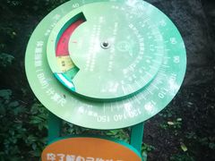 -大岭沟猕猴桃谷风景区