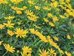 -大龙山(地铁站)