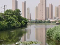 -前关湿地公园