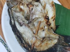 -杨合林啊兰烤鱼