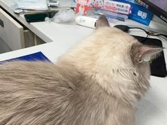 -博特宠物医院24h犬猫全科.骨科·异宠