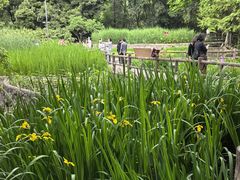-成都市活水公园