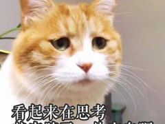 -重庆烧鸡公火锅(簋街店)