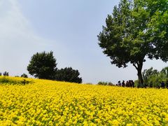 -长白岛森林公园